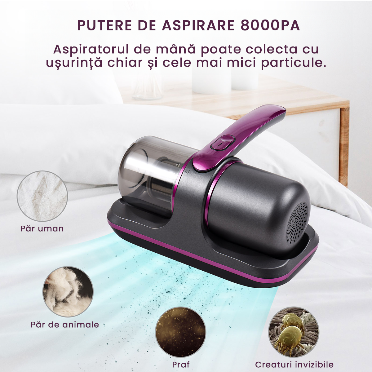3 (8)